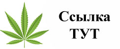 Купить наркотики в Грозном