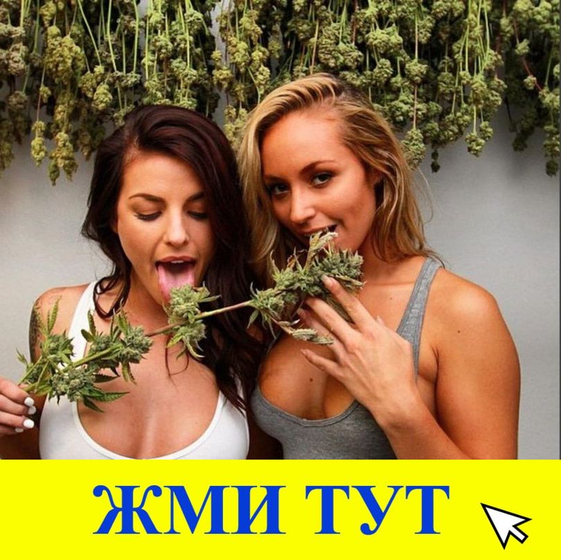 Купить наркотики в Грозном